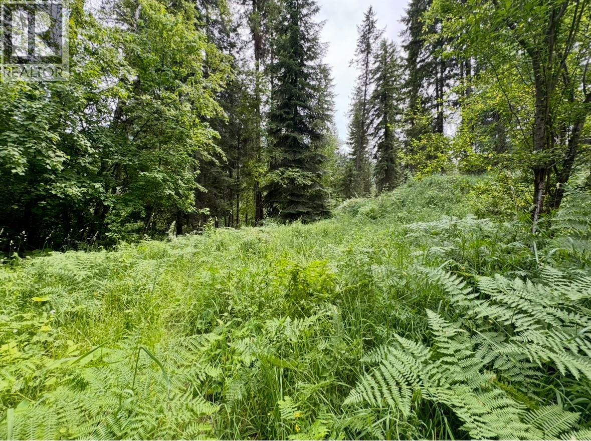 Corra Linn Road Lot# 41 & 41a, Bonnington, British Columbia  V0G 2G3 - Photo 16 - 10384149