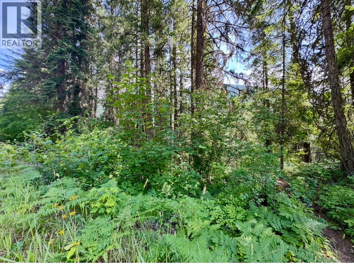 Corra Linn Road Lot# 41 & 41a, Bonnington, British Columbia  V0G 2G3 - Photo 24 - 10384149