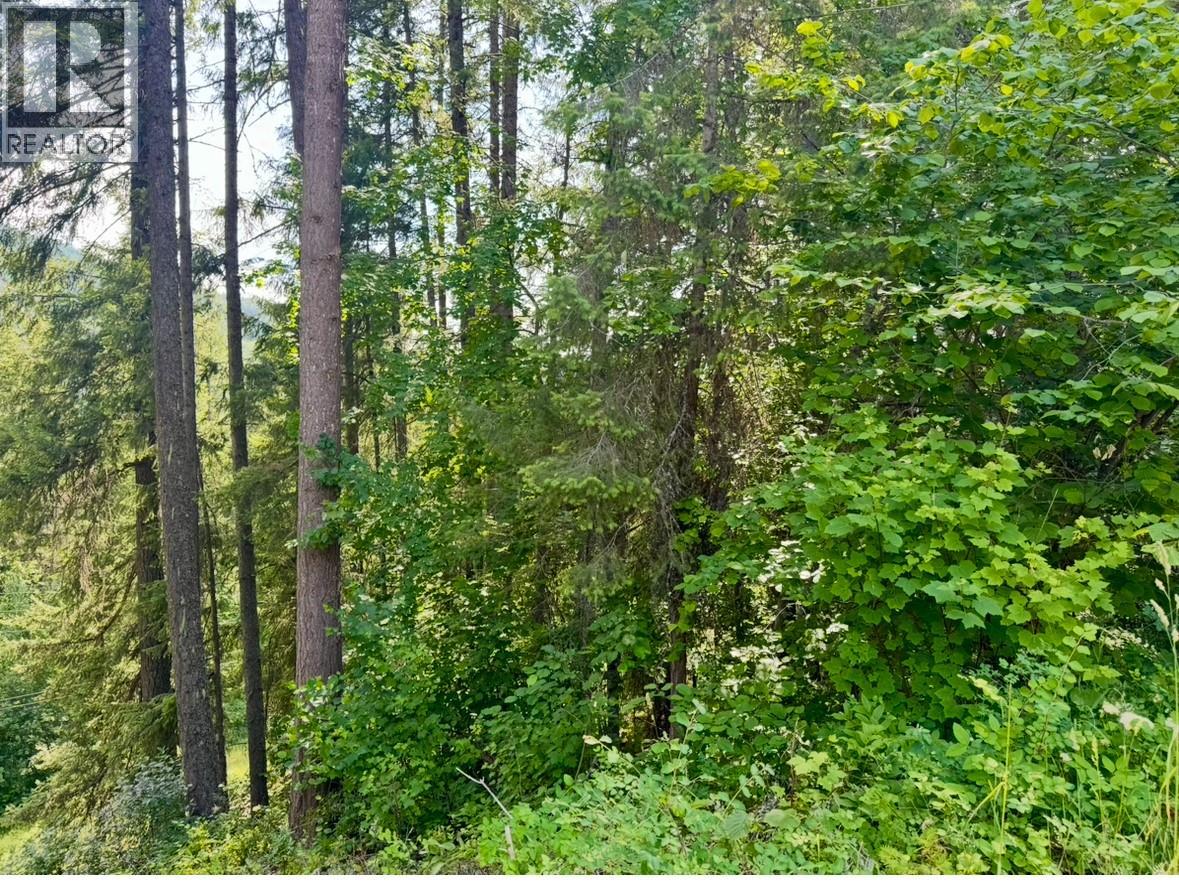 Corra Linn Road Lot# 41 & 41a, Bonnington, British Columbia  V0G 2G3 - Photo 25 - 10384149