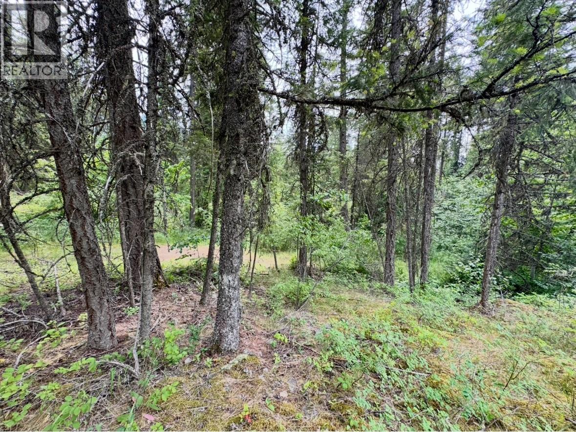 Corra Linn Road Lot# 41 & 41a, Bonnington, British Columbia  V0G 2G3 - Photo 27 - 10384149