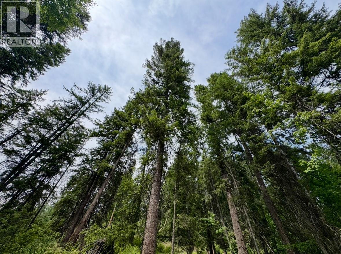 Corra Linn Road Lot# 41 & 41a, Bonnington, British Columbia  V0G 2G3 - Photo 28 - 10384149