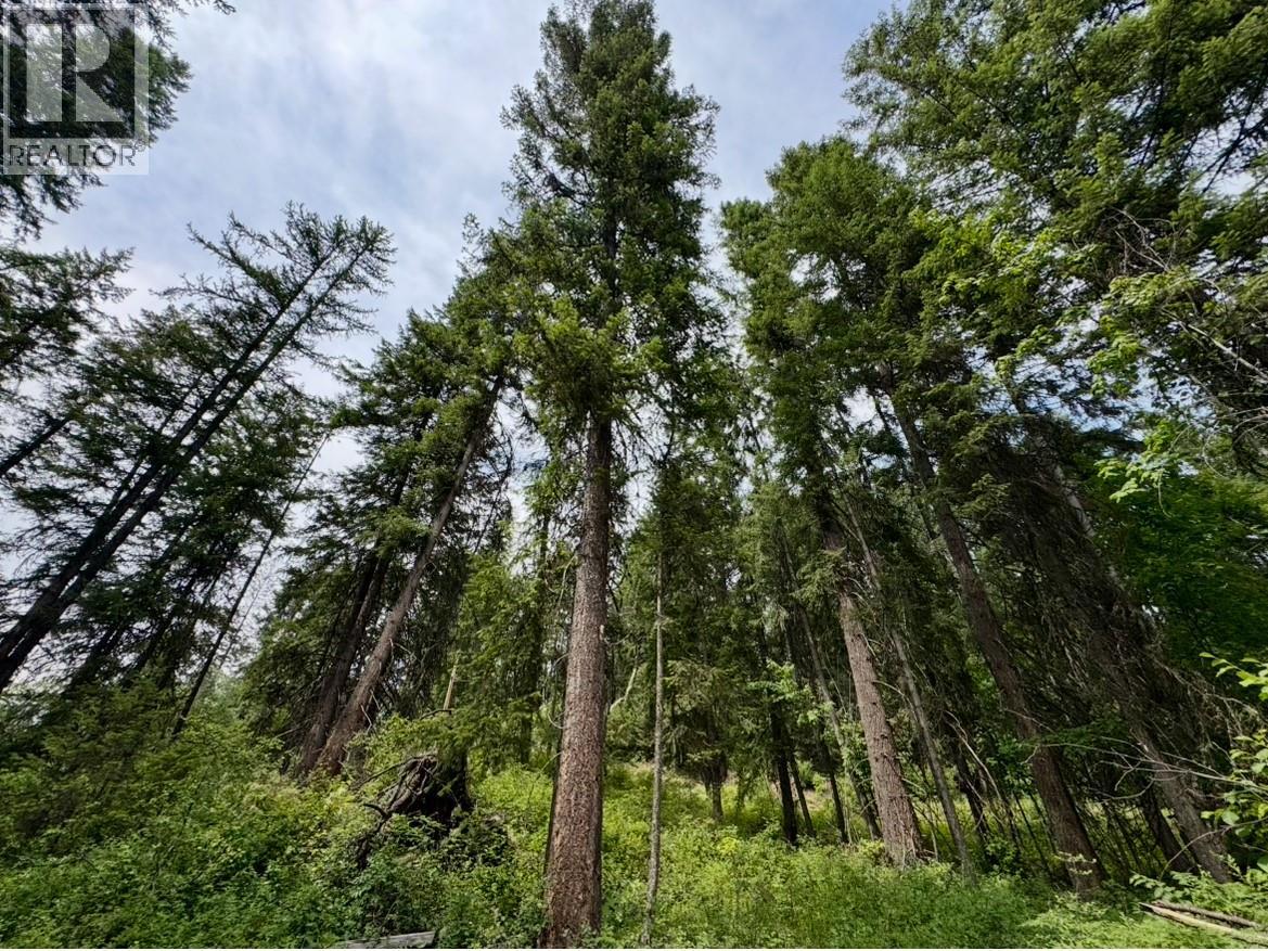 Corra Linn Road Lot# 41 & 41a, Bonnington, British Columbia  V0G 2G3 - Photo 8 - 10384149