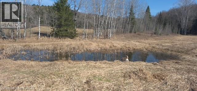 411a Peggs Mountain Road, Burk's Falls, Ontario  P0A 1C0 - Photo 33 - 40822469