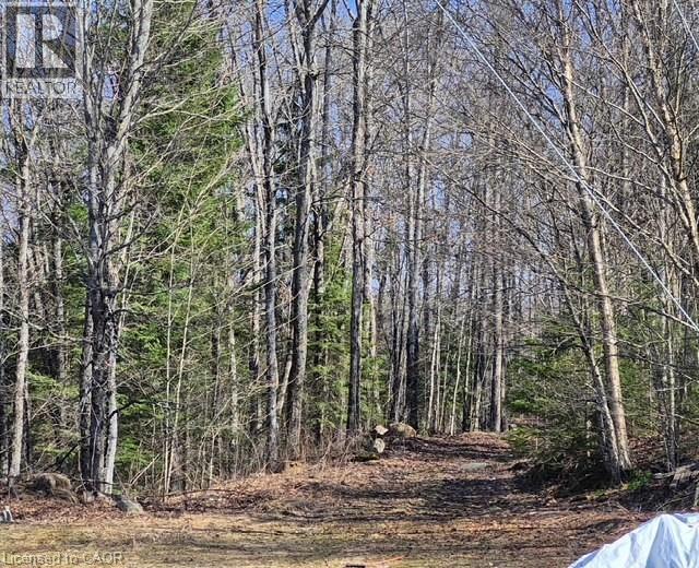 411a Peggs Mountain Road, Burk's Falls, Ontario  P0A 1C0 - Photo 30 - 40822469