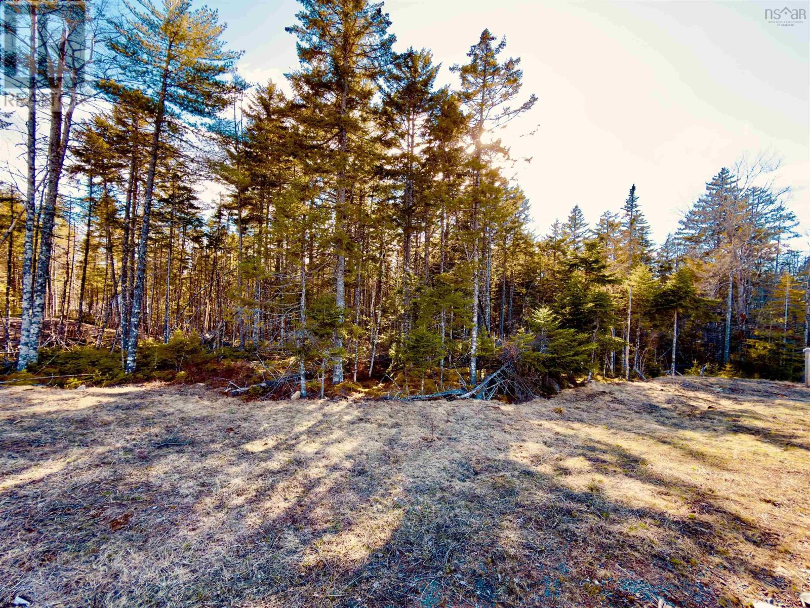 112 Quail Ridge, Beaver Bank, Nova Scotia  B4G 0G8 - Photo 9 - 202407473