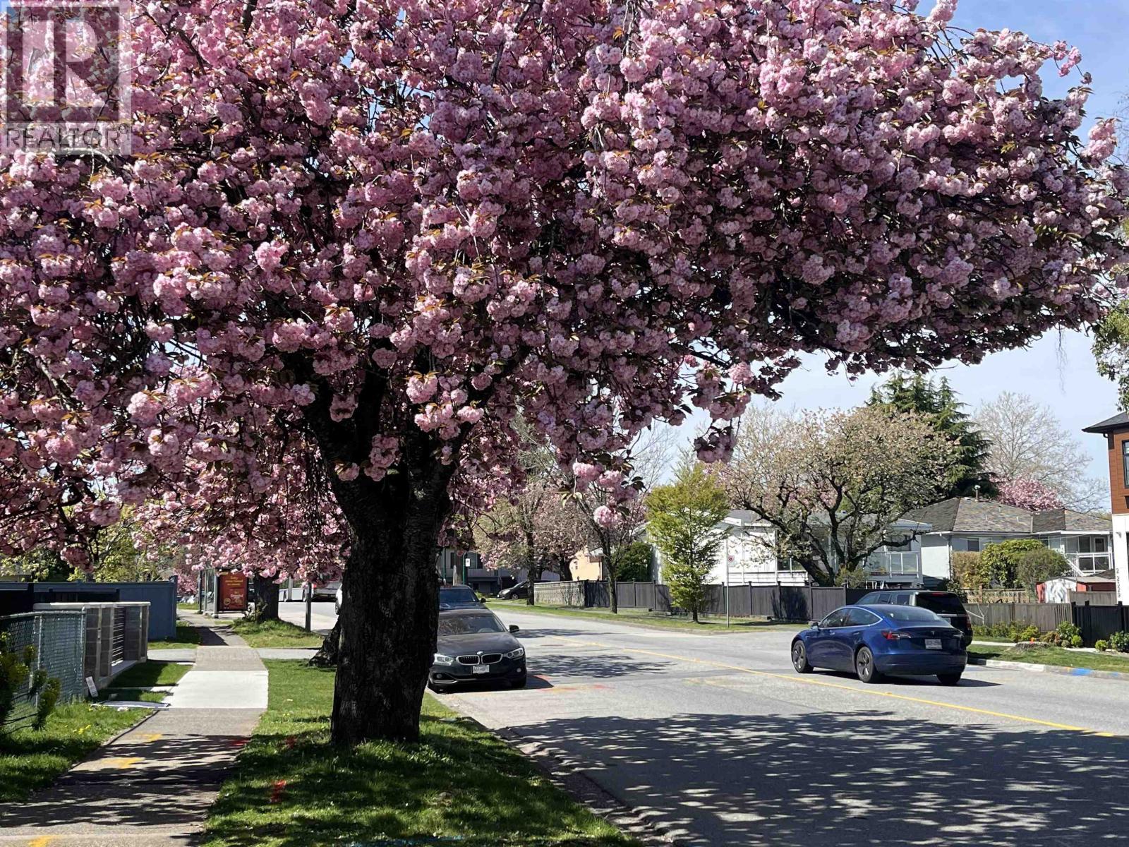 2750 Rosemont Drive, Vancouver, British Columbia  V5S 2C5 - Photo 5 - R3105416