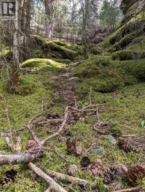 40 Devonian Ridge Place, Rural Rocky View County, Alberta  T3Z 1E6 - Photo 21 - A2295528