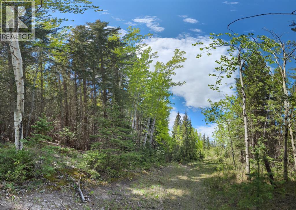 40 Devonian Ridge Place, Rural Rocky View County, Alberta  T3Z 1E6 - Photo 17 - A2295528