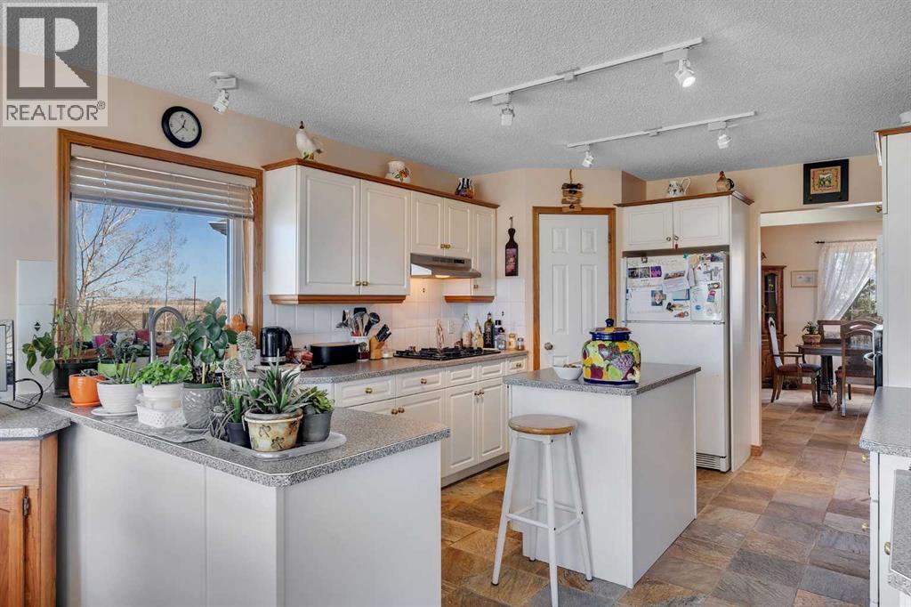 250235 Conrich Road, Rural Rocky View County, Alberta  T1Z 0C3 - Photo 19 - A2303878