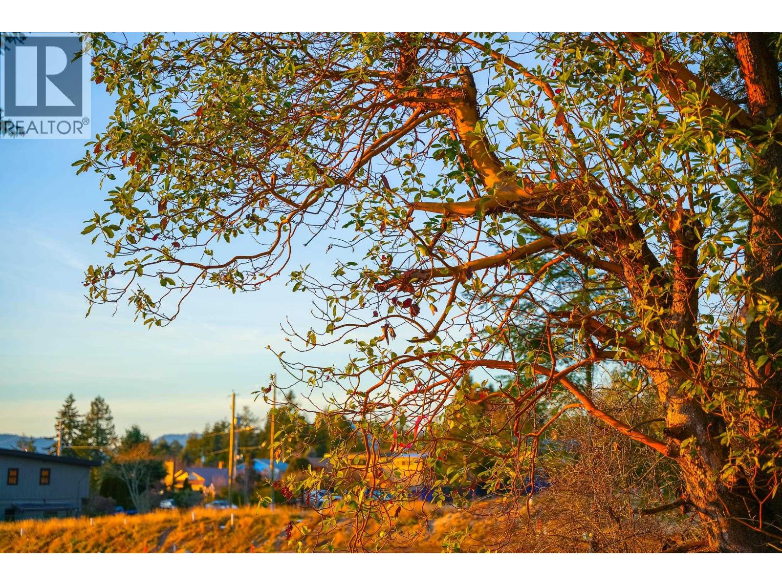 Lot 1 Salal Road, Sechelt, British Columbia  V7Z 0G4 - Photo 15 - R3114306