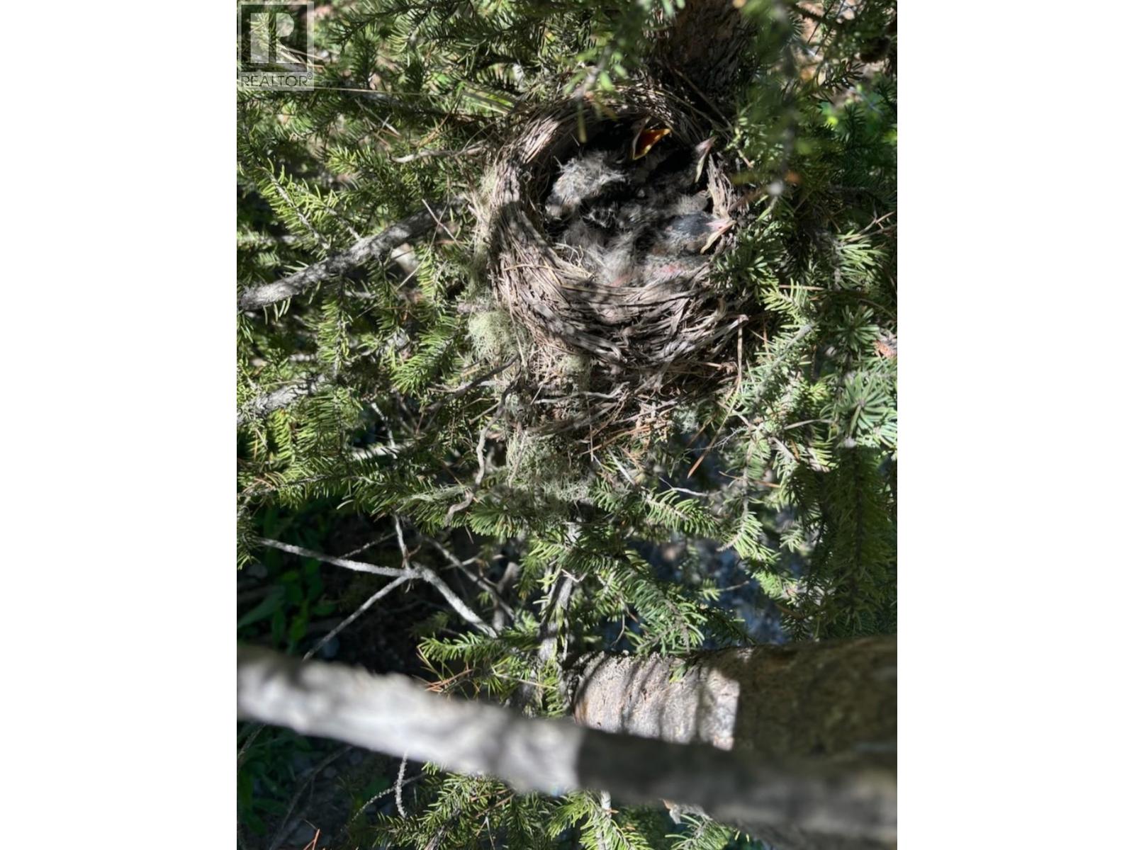 8205 Gladtidings Drive, Prince George, British Columbia  V2K 5G1 - Photo 11 - R3045967