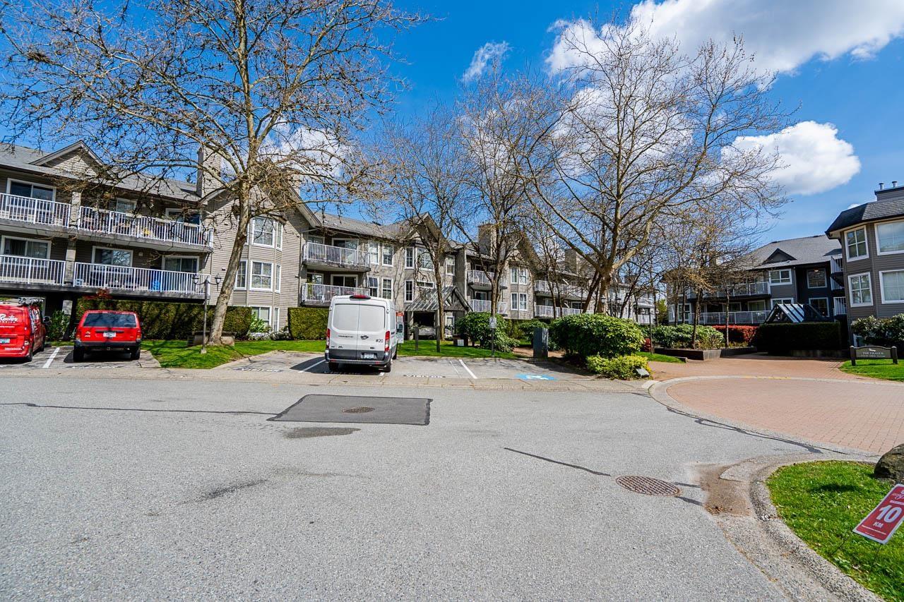 201 15110 108 Avenue, Surrey, British Columbia  V3R 0T6 - Photo 5 - R3113942