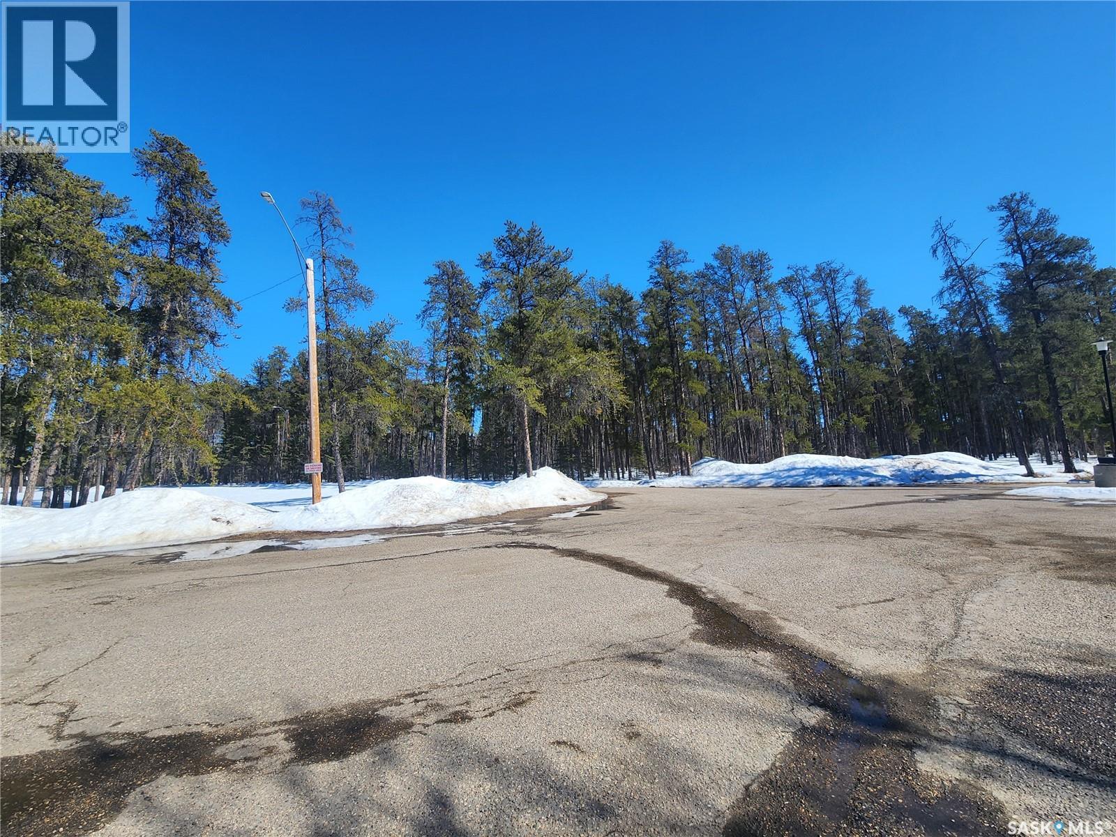 308 102 Manor Drive, Nipawin, Saskatchewan  S0E 1E0 - Photo 29 - SK033580