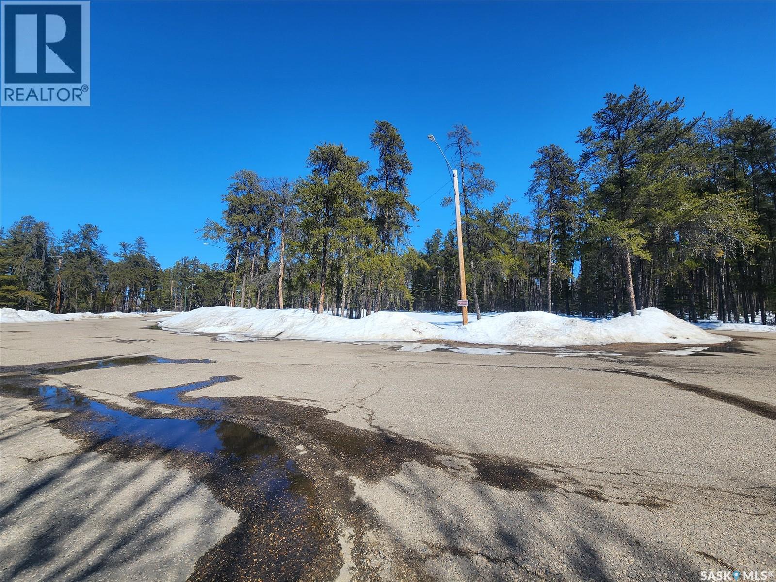 308 102 Manor Drive, Nipawin, Saskatchewan  S0E 1E0 - Photo 30 - SK033580