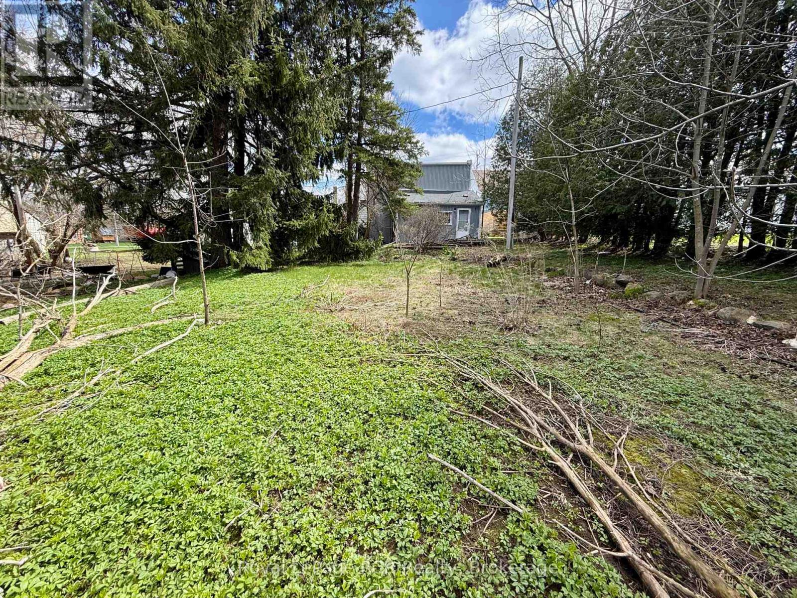 4 Main Street N, Brockton, Ontario  N0G 1S0 - Photo 4 - X12584946