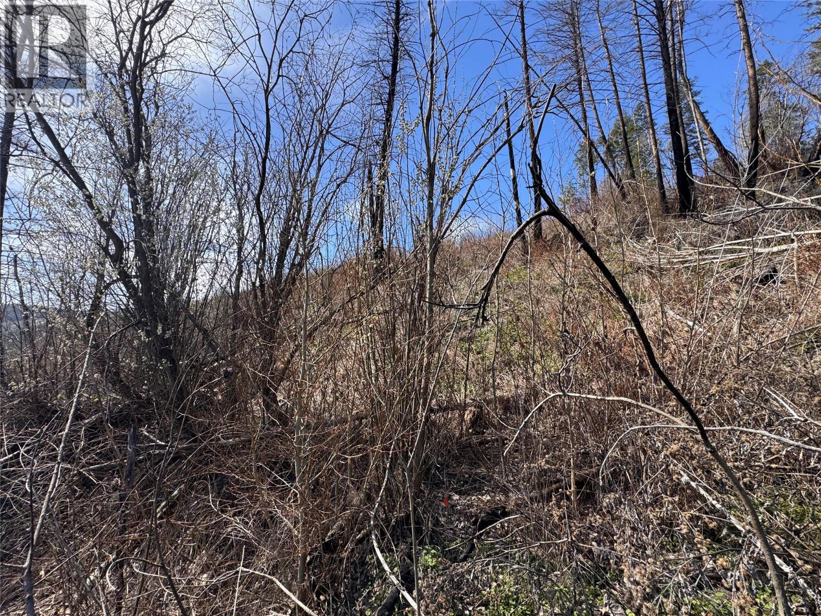 Lot 25 Hodges Road, Vernon, British Columbia  V1H 2G4 - Photo 15 - 10384079