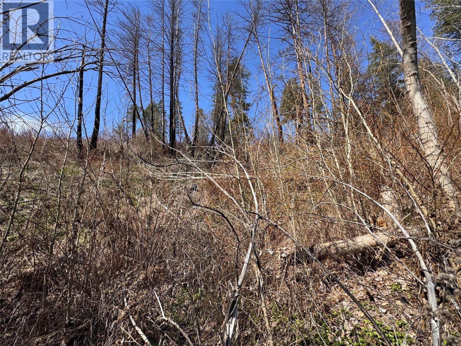 Lot 25 Hodges Road, Vernon, British Columbia  V1H 2G4 - Photo 16 - 10384079