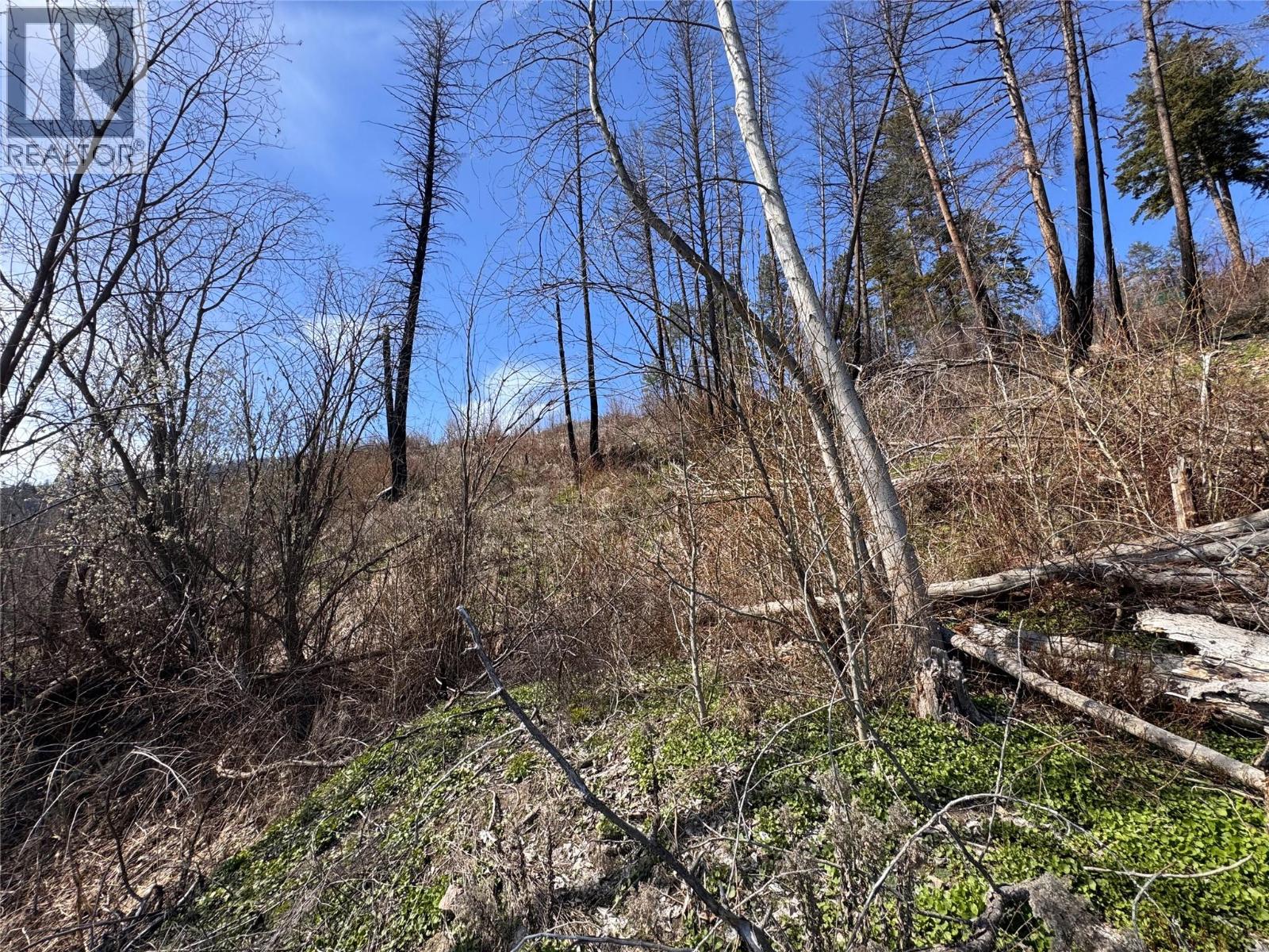 Lot 25 Hodges Road, Vernon, British Columbia  V1H 2G4 - Photo 17 - 10384079