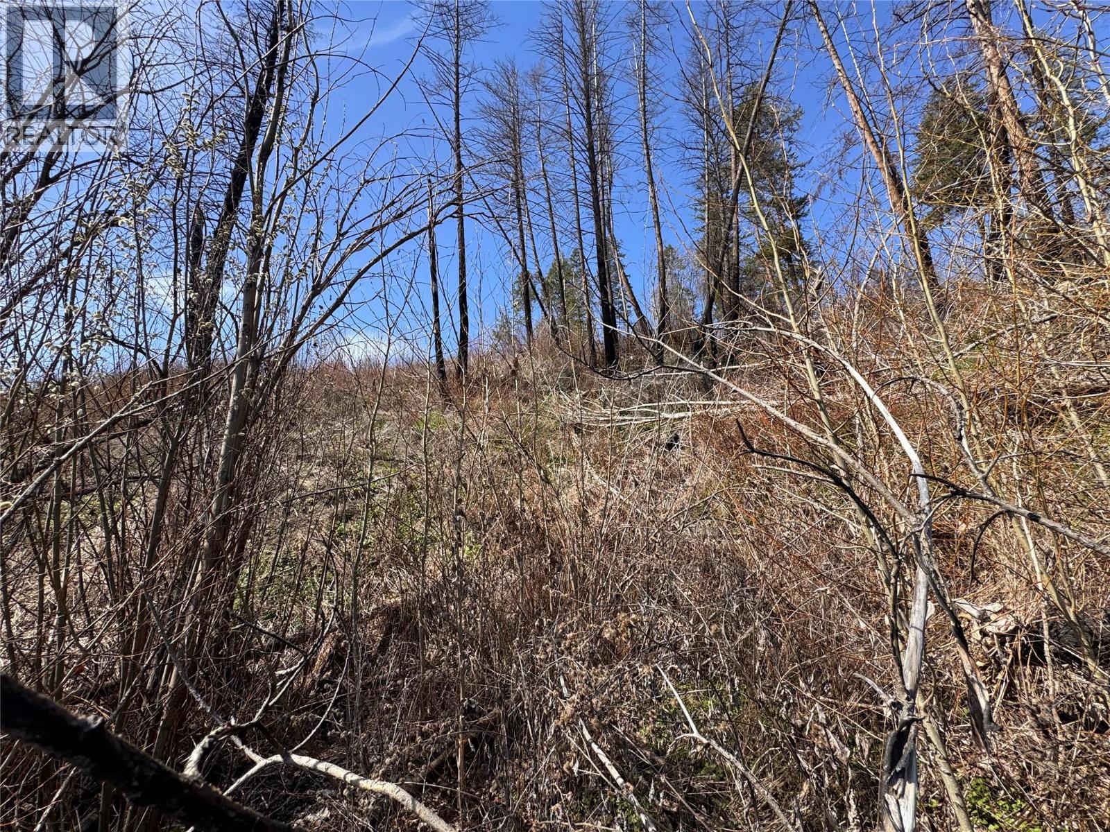 Lot 25 Hodges Road, Vernon, British Columbia  V1H 2G4 - Photo 23 - 10384079