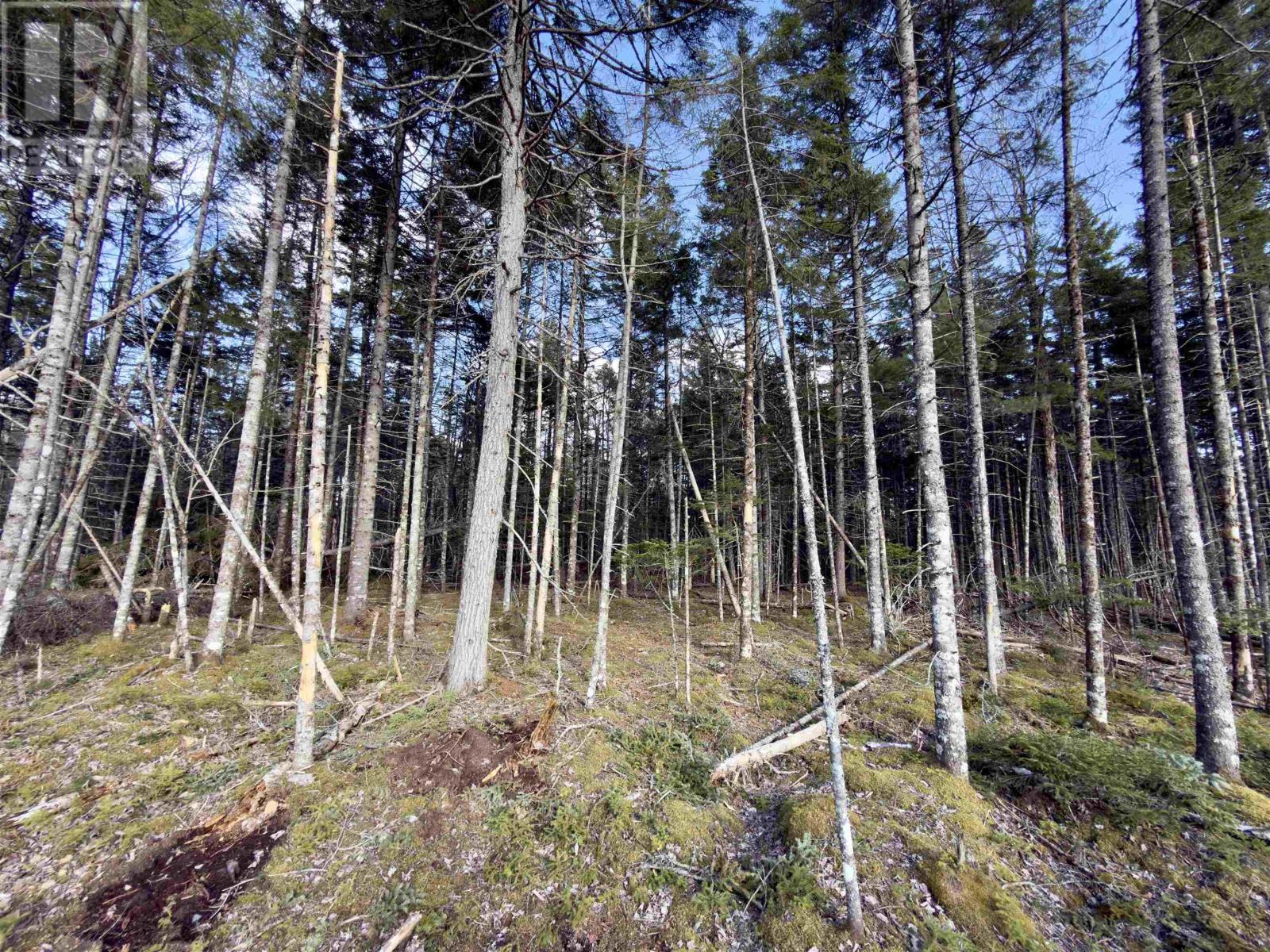 37 Quail Ridge, Beaver Bank, Nova Scotia  B4G 0C8 - Photo 8 - 202603395