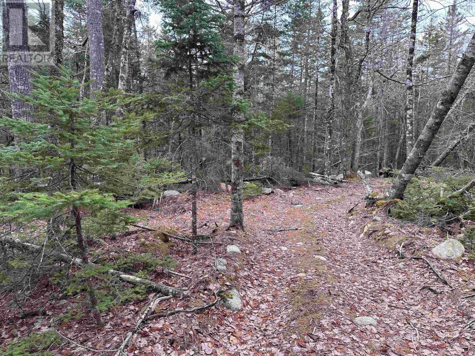 443 Turner Point Drive, Walden, Nova Scotia  B0J 2E0 - Photo 15 - 202608083