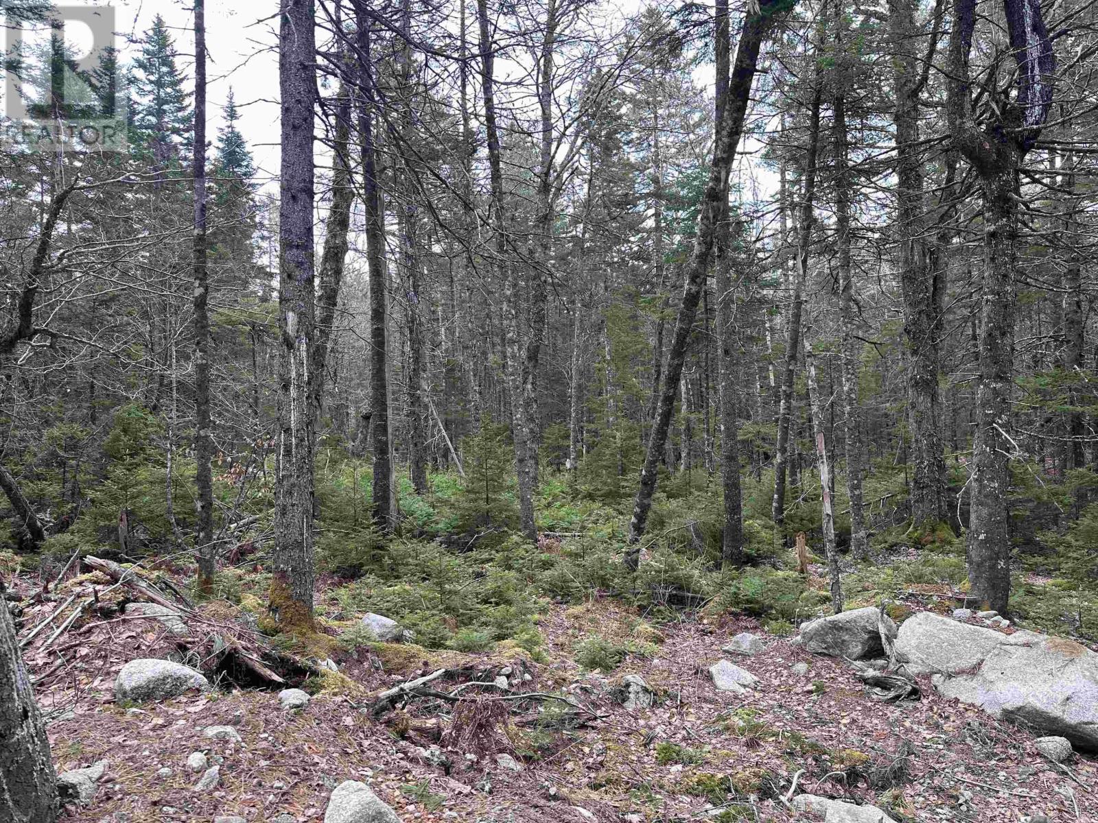 443 Turner Point Drive, Walden, Nova Scotia  B0J 2E0 - Photo 18 - 202608083