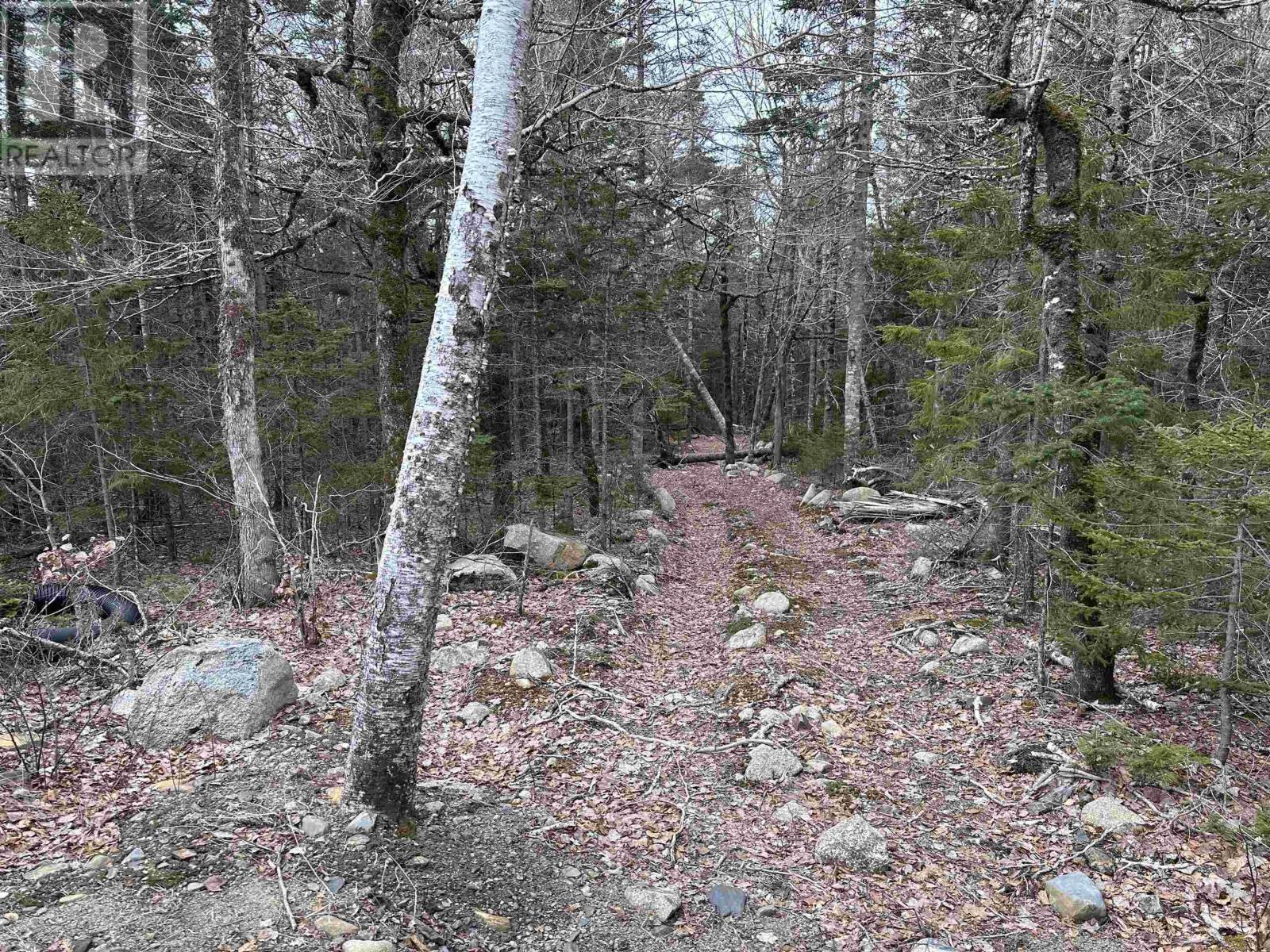 443 Turner Point Drive, Walden, Nova Scotia  B0J 2E0 - Photo 14 - 202608083