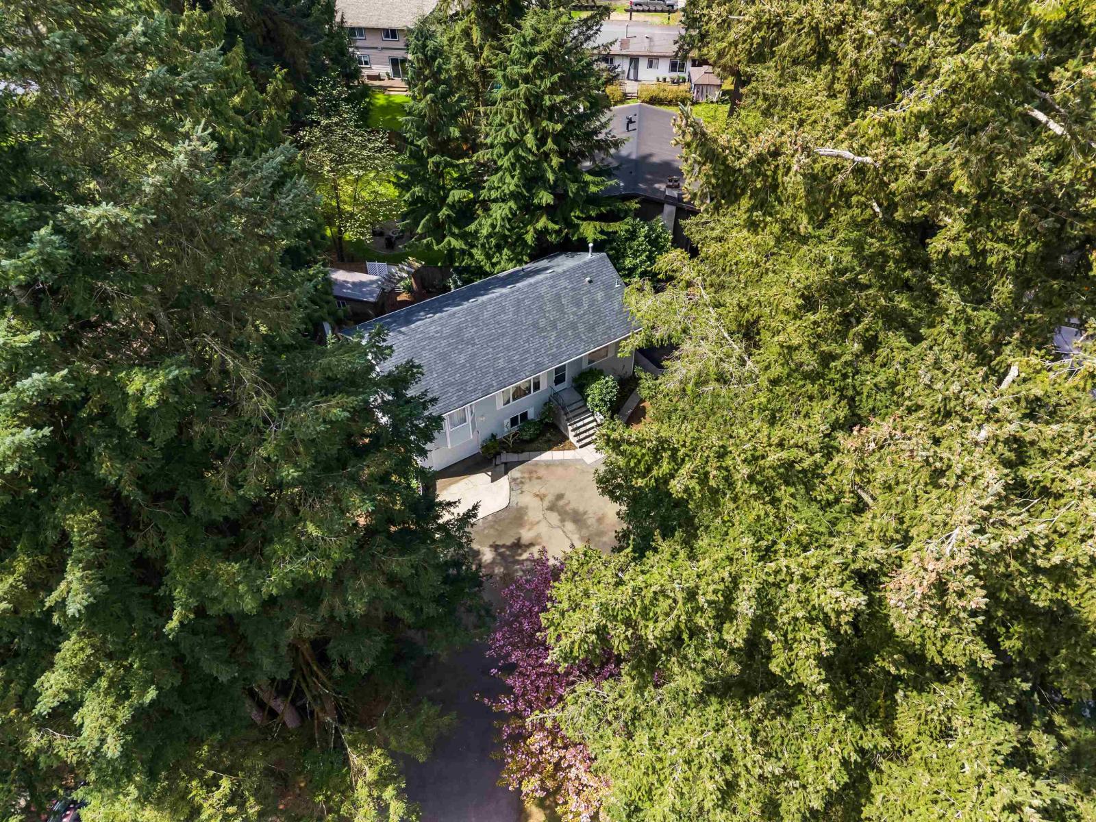 20188 40 Avenue, Langley, British Columbia  V3A 2W5 - Photo 7 - R3113894