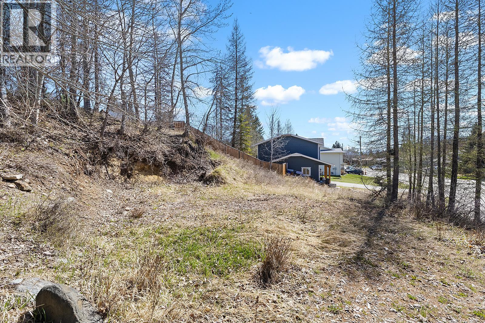 53 100th Avenue, Kimberley, British Columbia  V1A 3A9 - Photo 4 - 10384252