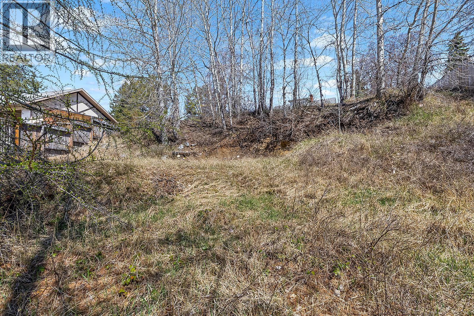 53 100th Avenue, Kimberley, British Columbia  V1A 3A9 - Photo 3 - 10384252