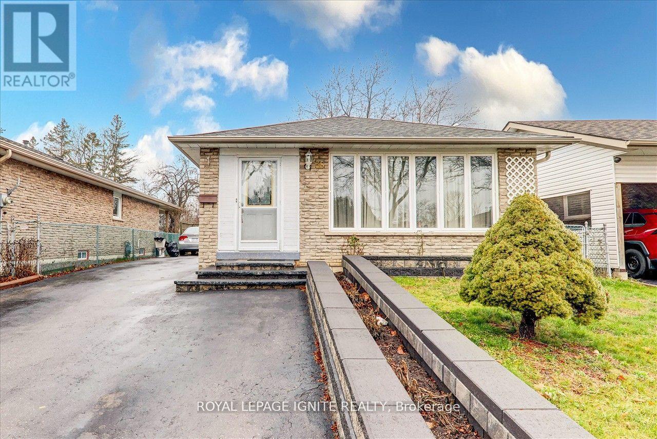 BSMT - 38 LORADEEN CRESCENT, Toronto, Ontario