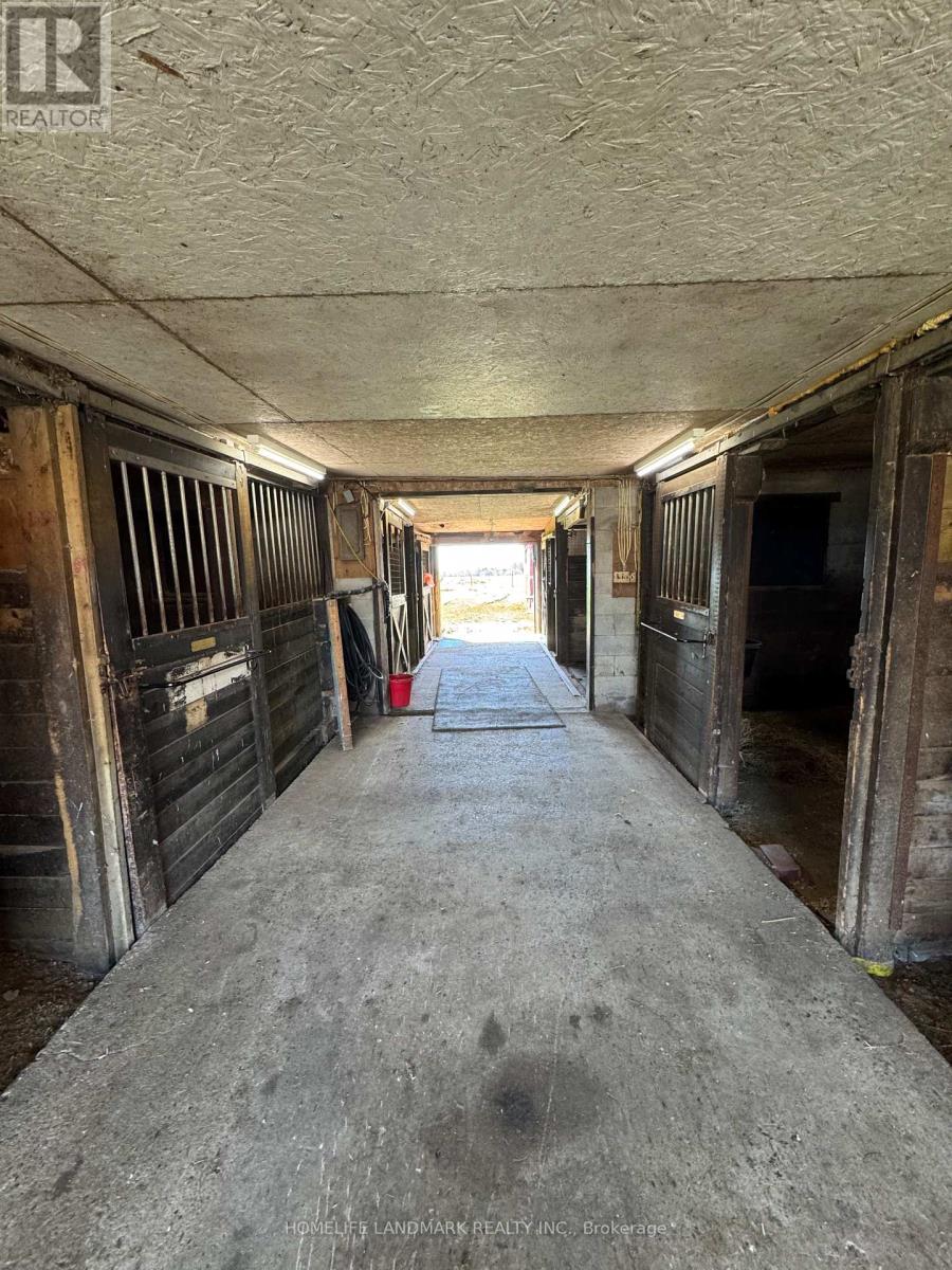 4432 Middle Road, Clarington, Ontario  L1C 3K2 - Photo 32 - E13011946