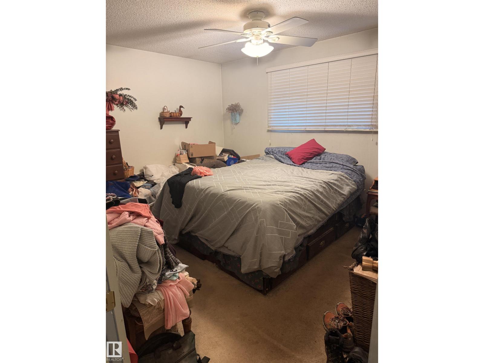 9216 169 St NW, Edmonton, Alberta  T5R 0A8 - Photo 41 - E4483389