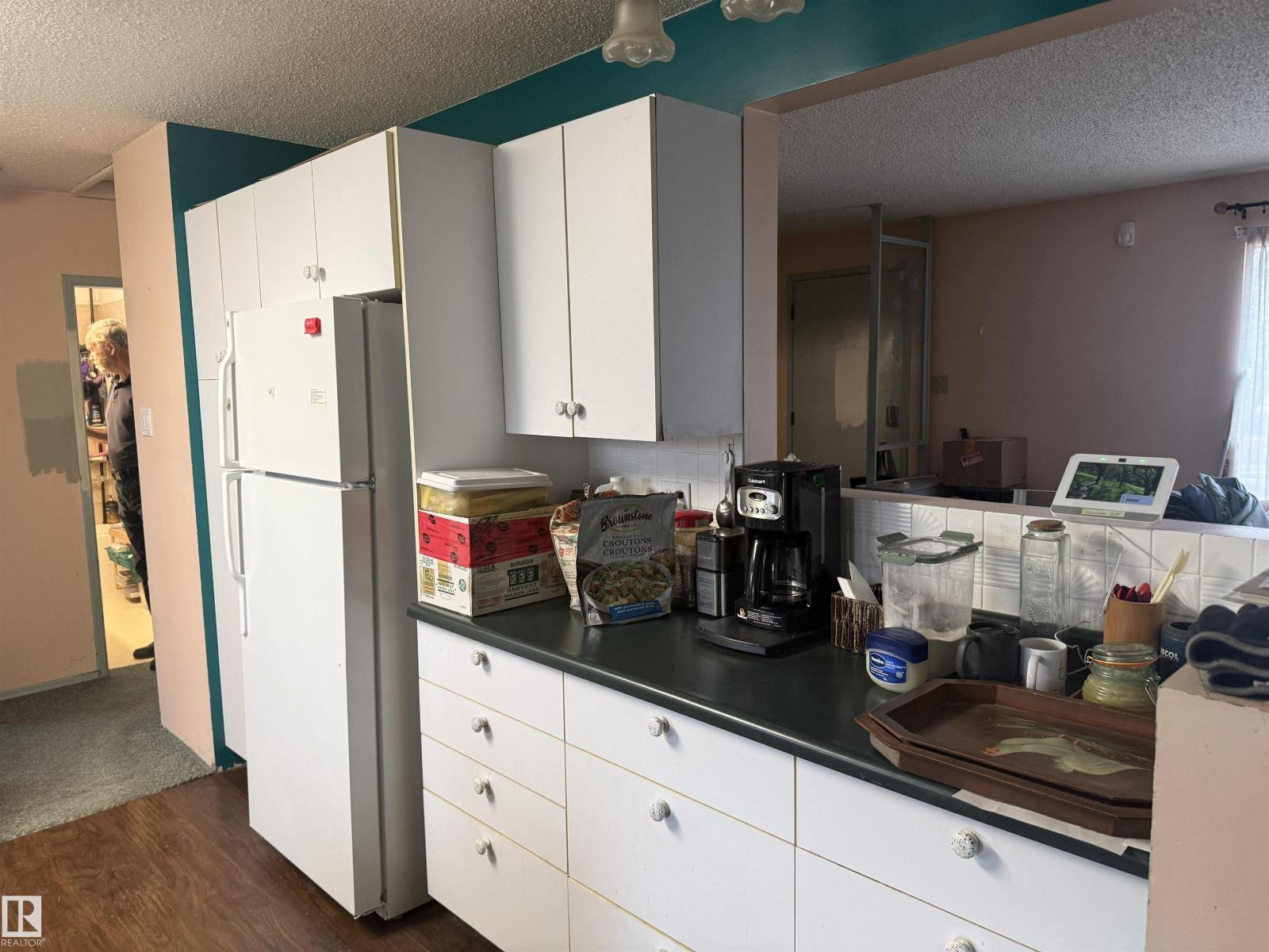 9216 169 St NW, Edmonton, Alberta  T5R 0A8 - Photo 33 - E4483389