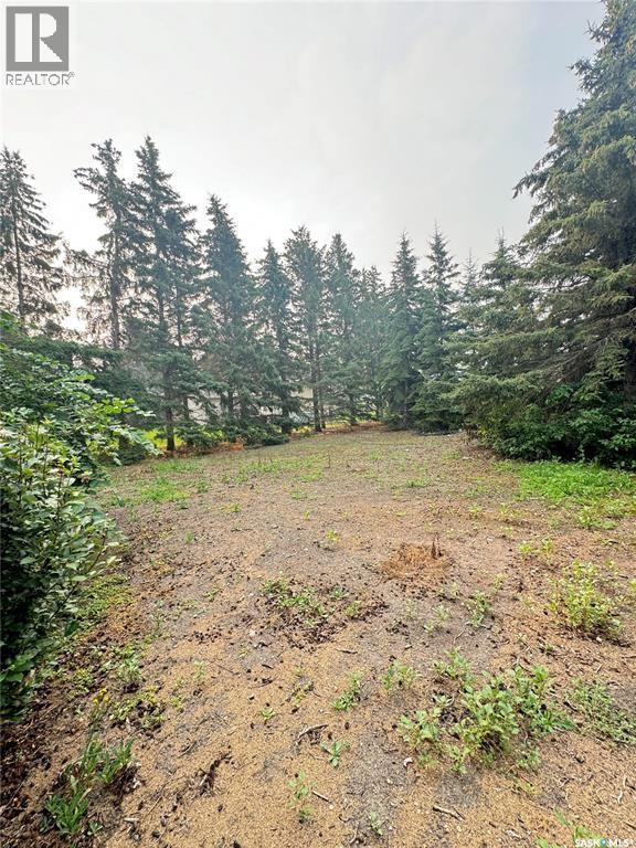 315 2nd Street, Waldheim, Saskatchewan  S0K 4R0 - Photo 4 - SK033408