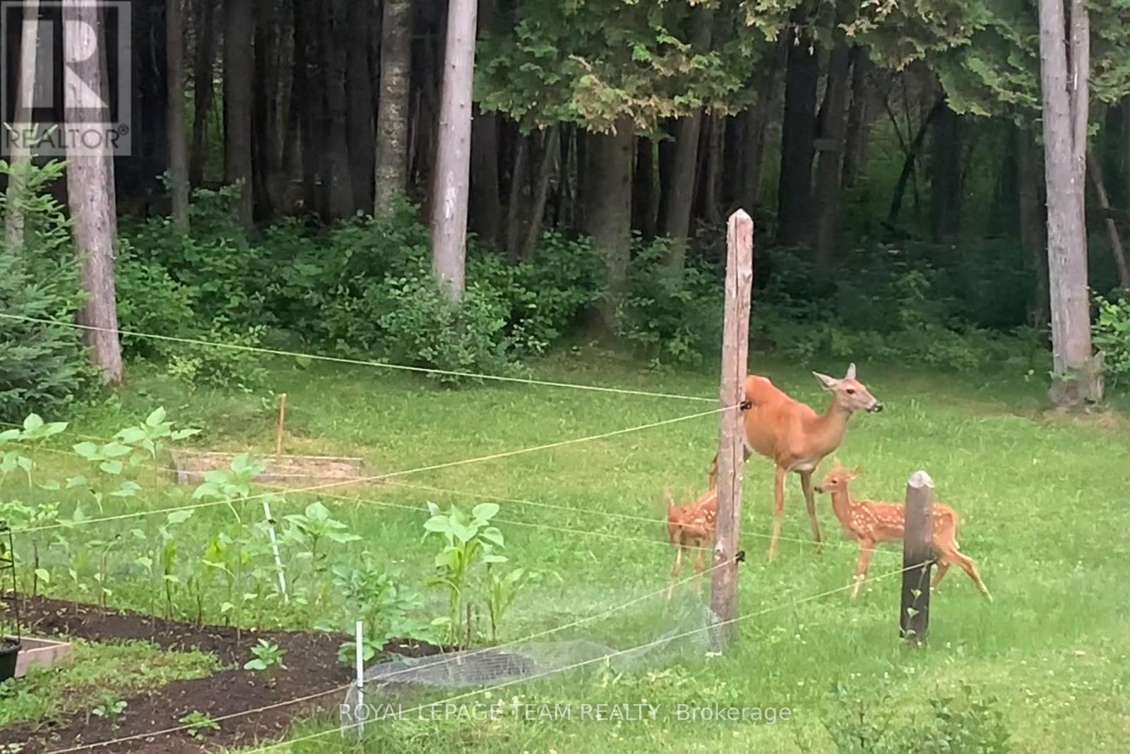 941 Corkery Road, Ottawa, Ontario  K0A 1L0 - Photo 48 - X12809098