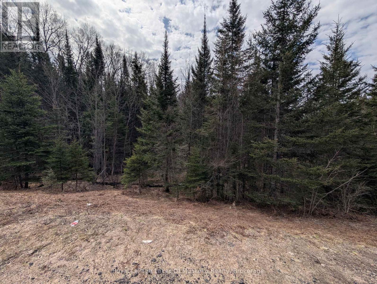 0 518 E HIGHWAY, Perry, Ontario