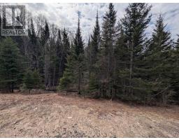 0 518 E HIGHWAY, perry (emsdale), Ontario