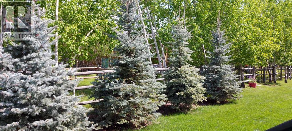 7, 925 Imperial Drive SE, Diamond Valley, Alberta  T0L 2A0 - Photo 14 - A2301744