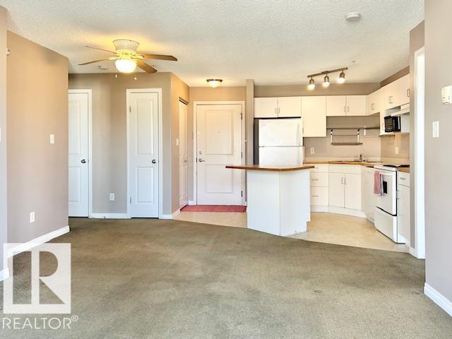 #413 11325 83 St Nw, Edmonton, Alberta  T5B 4W5 - Photo 13 - E4483453