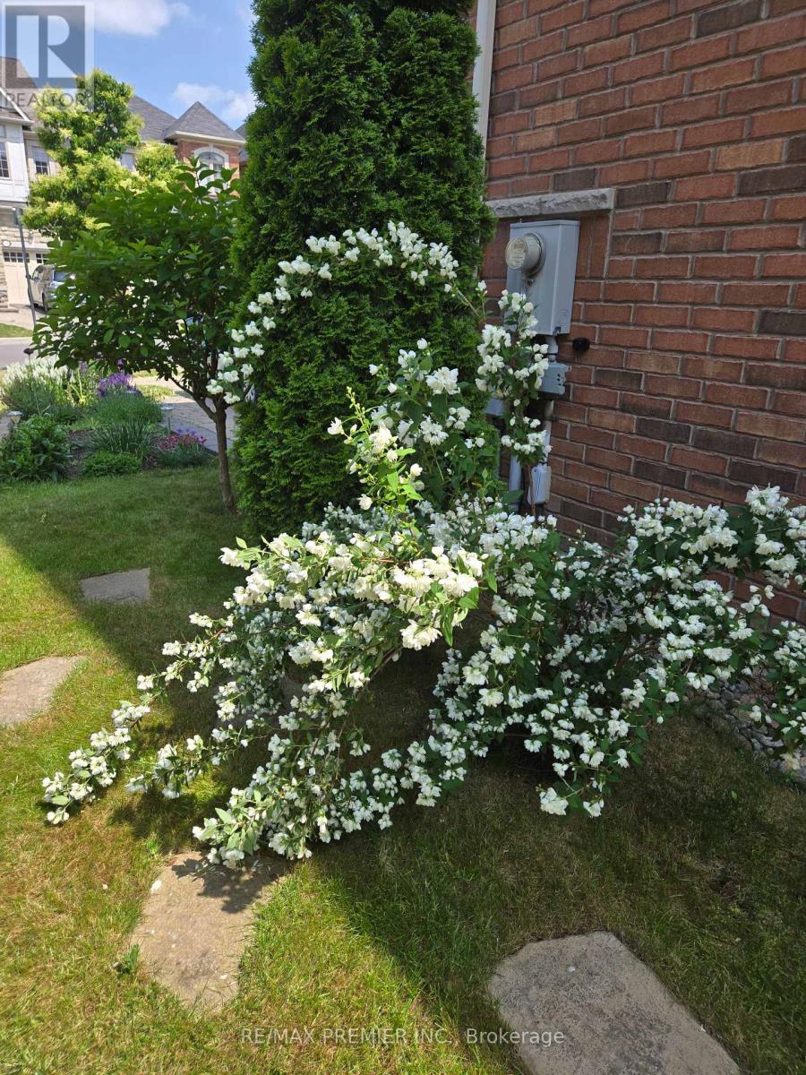 32 Blue Grouse Road, Vaughan, Ontario  L6A 4B9 - Photo 48 - N13019120