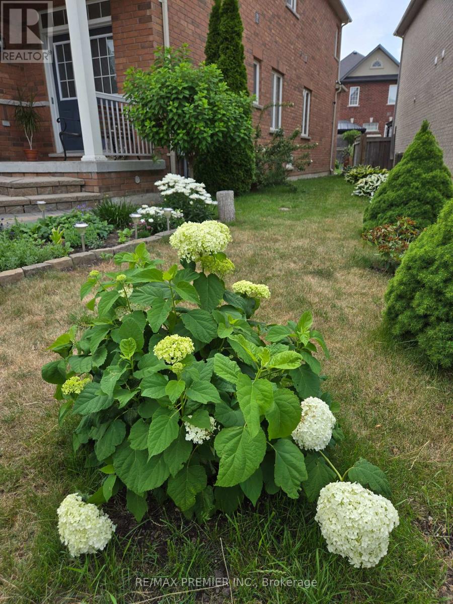 32 Blue Grouse Road, Vaughan, Ontario  L6A 4B9 - Photo 47 - N13019120