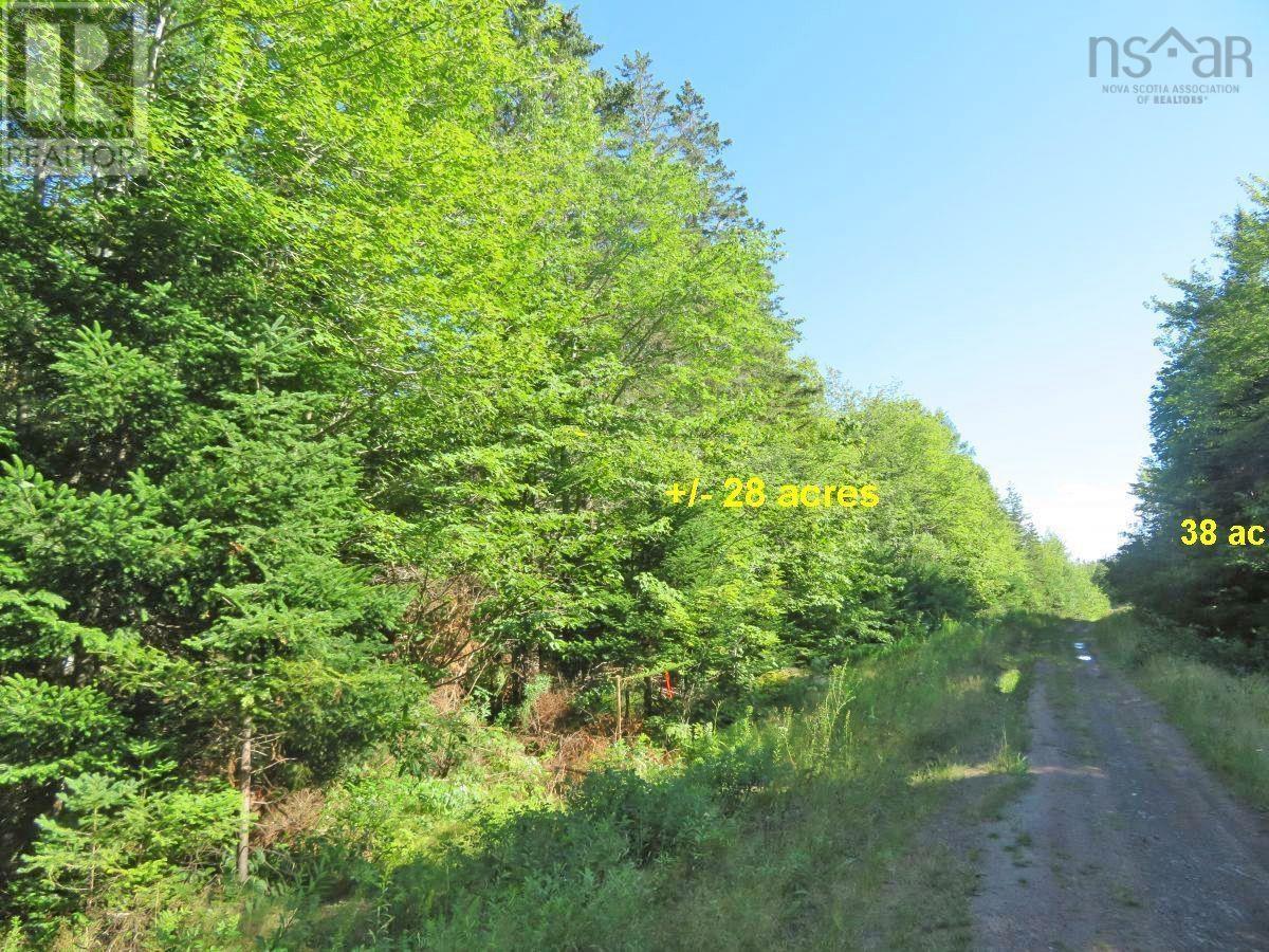 2 Lots Lower River Road, Hureauville, Nova Scotia  B0E 1J0 - Photo 10 - 202608185