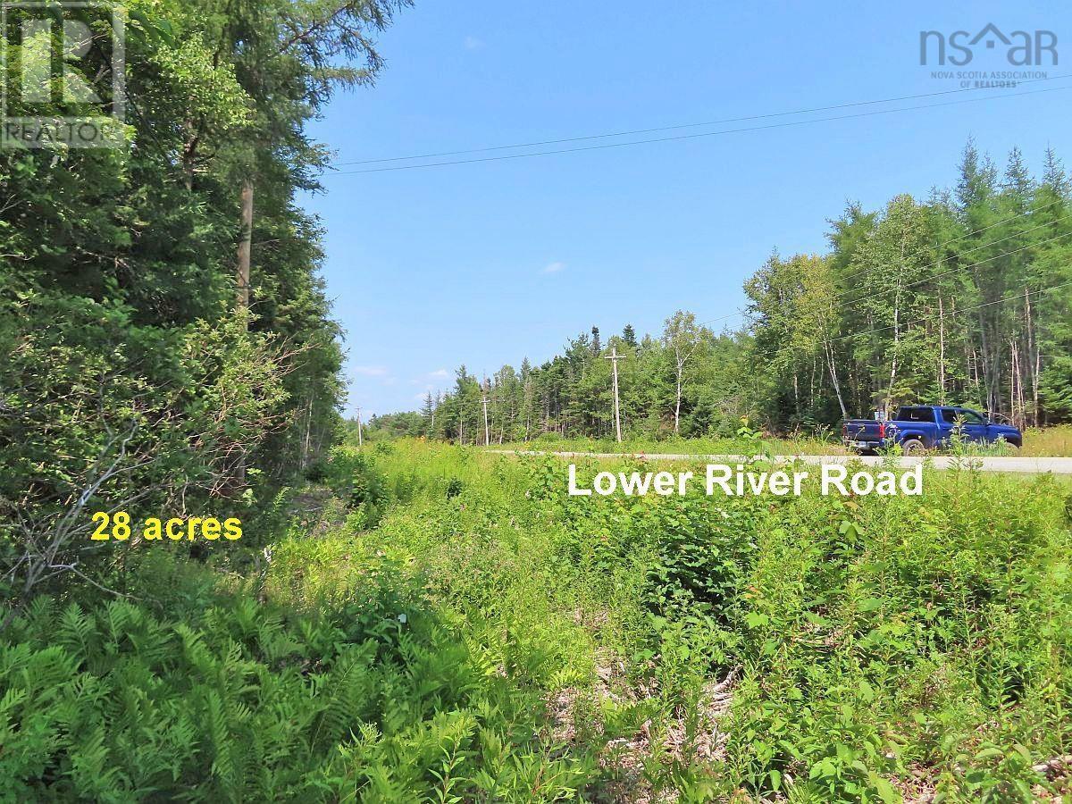 2 Lots Lower River Road, Hureauville, Nova Scotia  B0E 1J0 - Photo 6 - 202608185