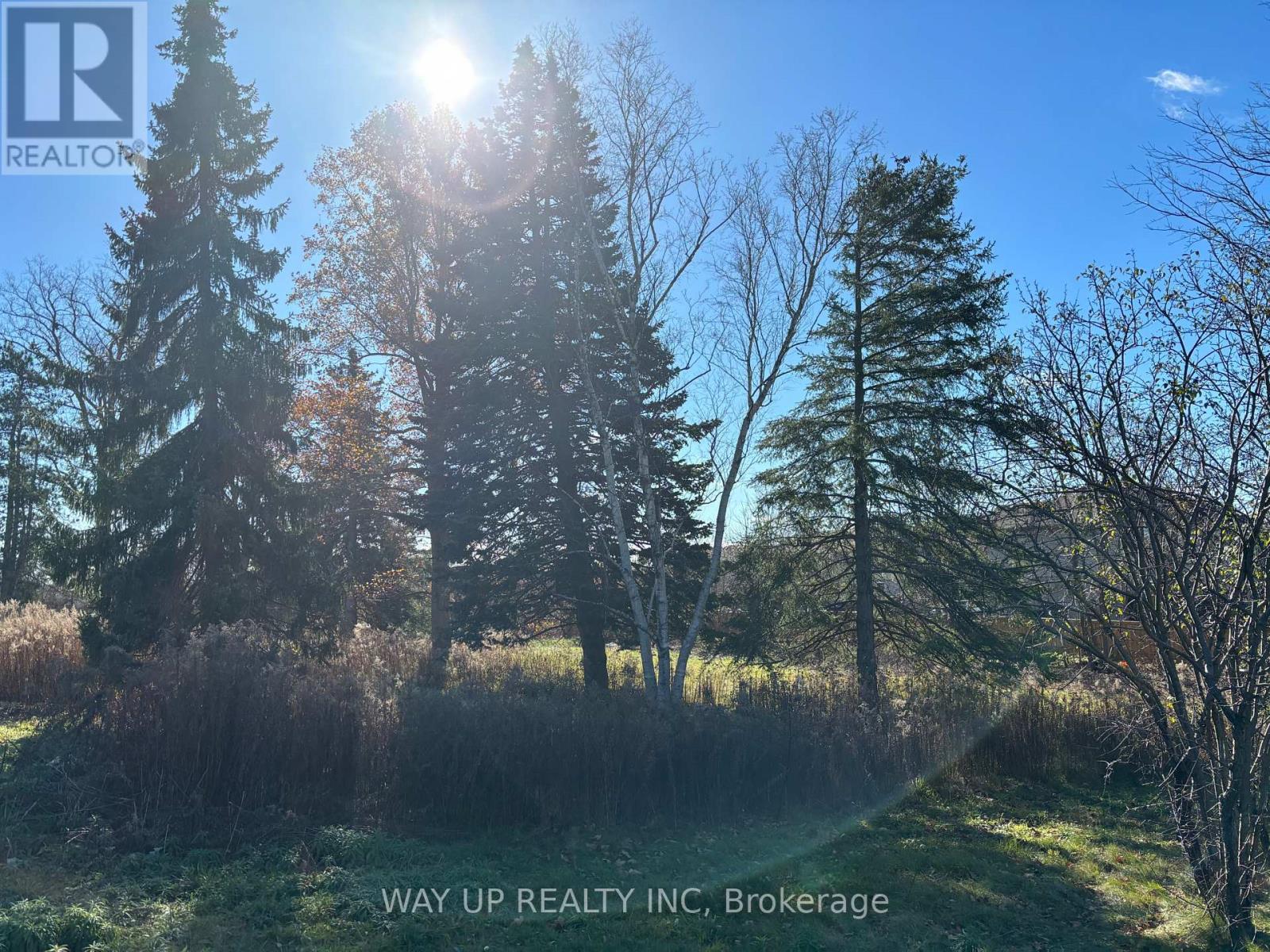 1343 Sunningdale Road E, London North, Ontario  N5X 4B1 - Photo 10 - X13028416