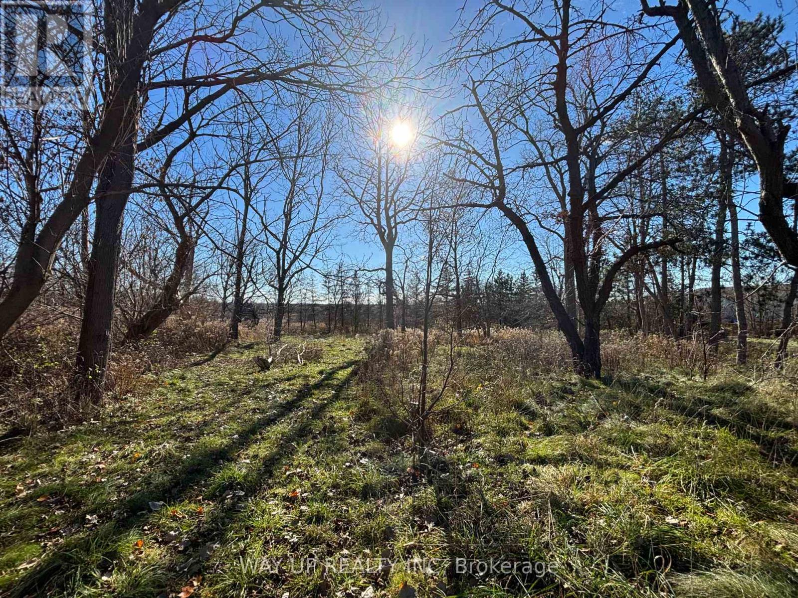 1343 Sunningdale Road E, London North, Ontario  N5X 4B1 - Photo 4 - X13028416