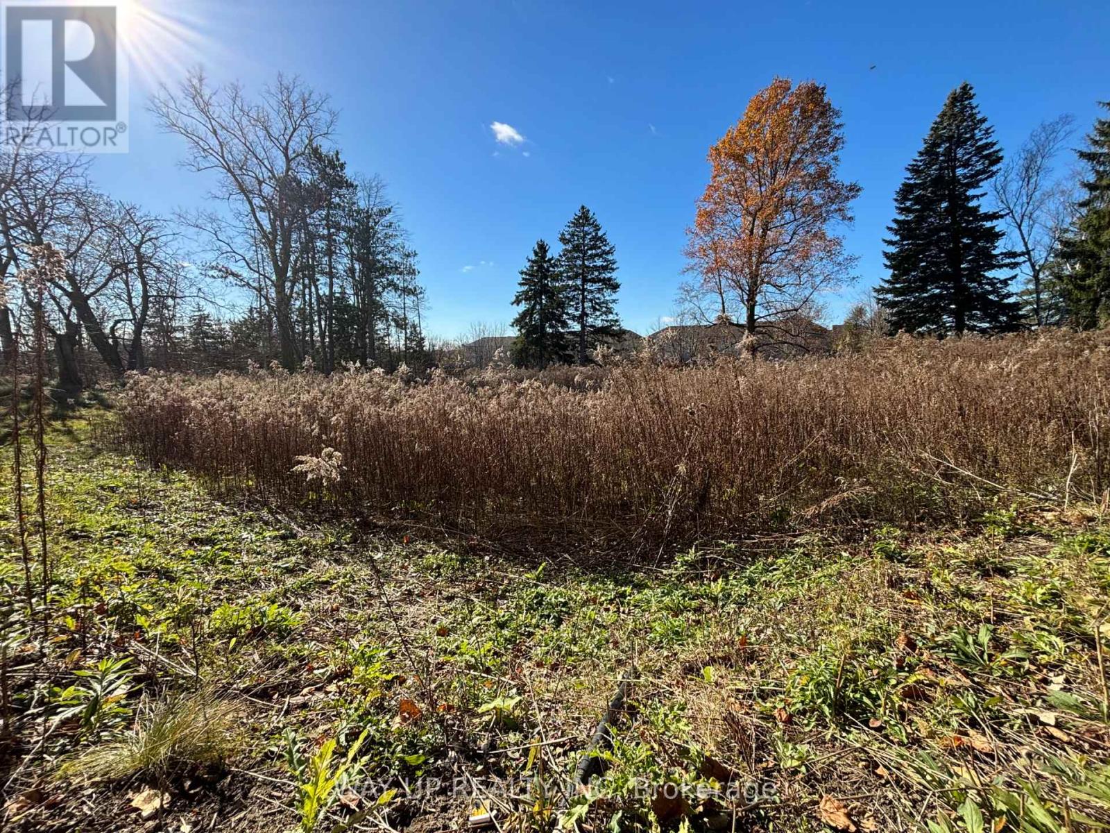 1343 Sunningdale Road E, London North, Ontario  N5X 4B1 - Photo 5 - X13028416