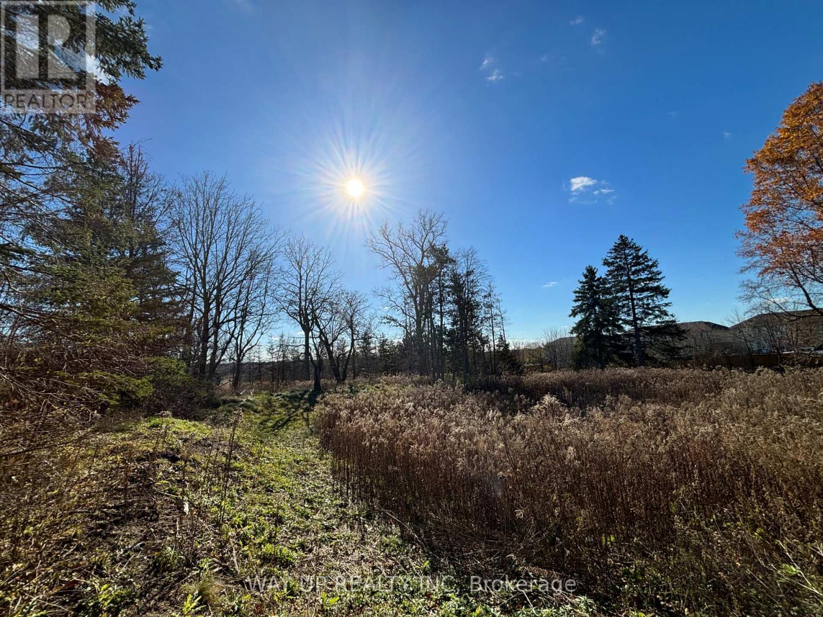 1343 Sunningdale Road E, London North, Ontario  N5X 4B1 - Photo 6 - X13028416