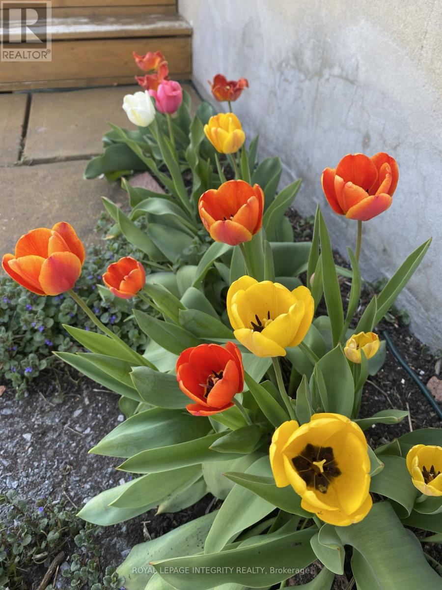 3264 Johnston Avenue, Cornwall, Ontario  K6K 1H3 - Photo 22 - X13028340