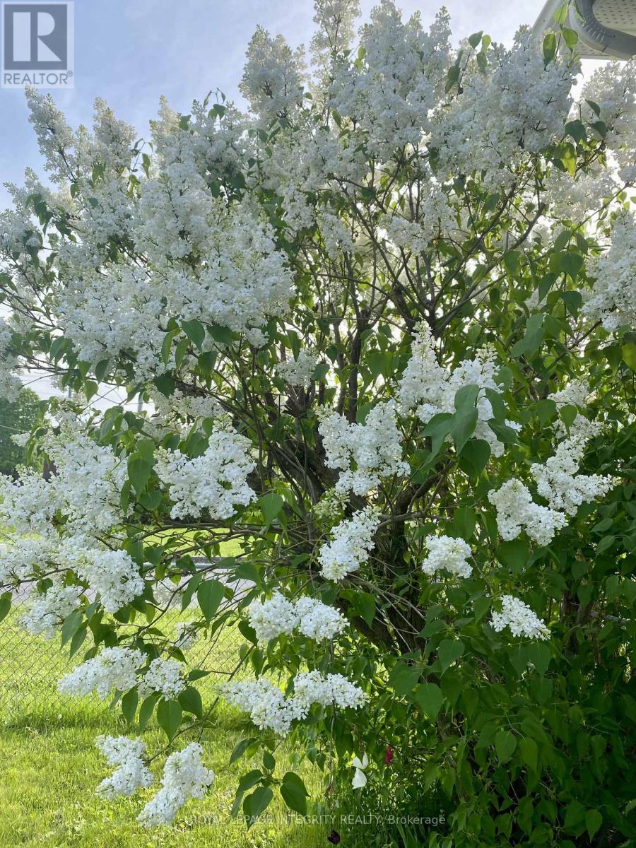 3264 Johnston Avenue, Cornwall, Ontario  K6K 1H3 - Photo 23 - X13028340